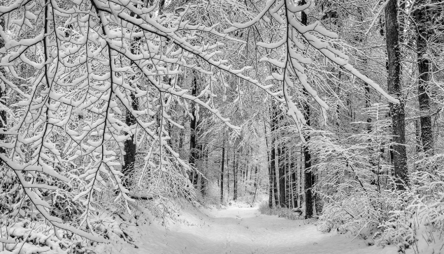 horoskop januar 2023.